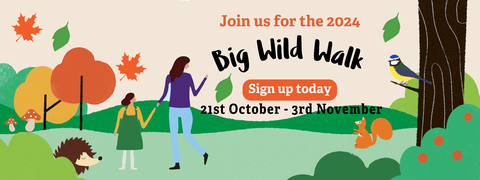 Big Wild Walk 2024