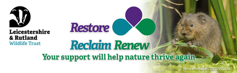 Restore Reclaim