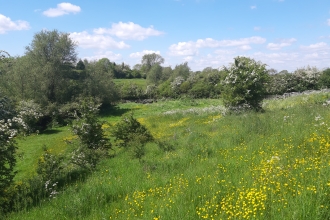 Wymeswold Meadows (c) LRWT