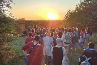 Bat walk at Timber Festival