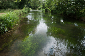 Chalk river