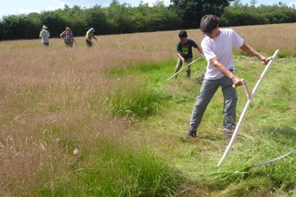 Scything in Charnwood