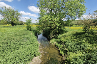 James Adler Reserve stream