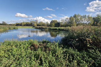 Kelham Bridge Nature Reserve