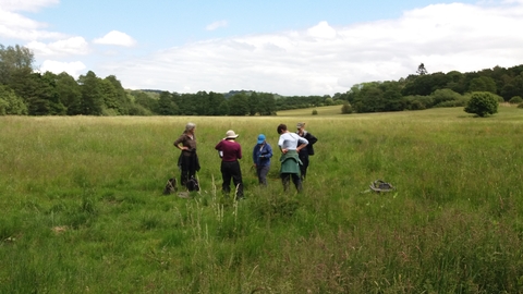 Grassland Monitoring survey with volunteers - LRWT