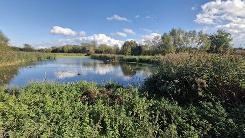 Kelham Bridge Nature Reserve