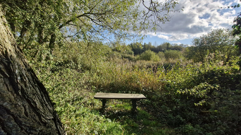 Kelham Bridge Nature Reserve