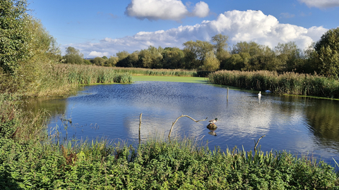 Kelham Bridge Nature Reserve