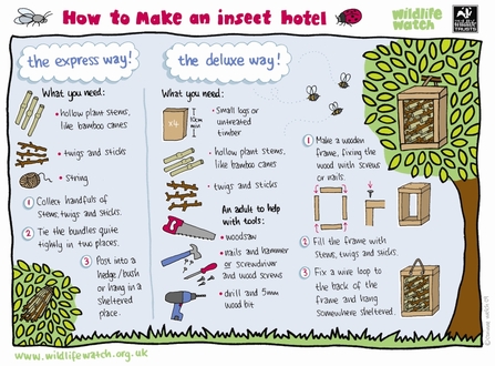 Insect hotel