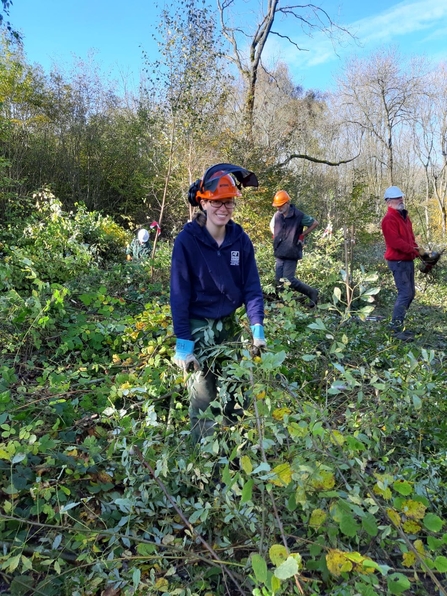 TRO Managing Woodland Credit Andy Nielson