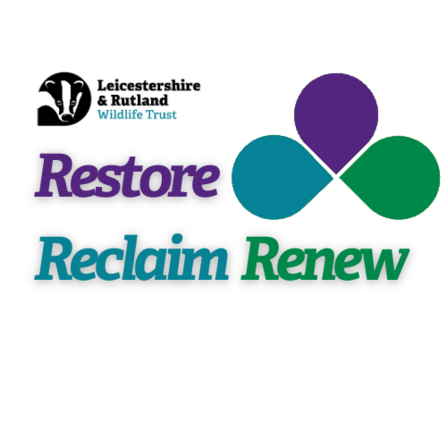 Restore, Reclaim, Renew Logo