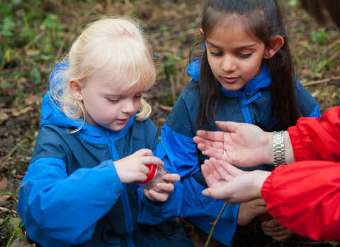 Children with insects