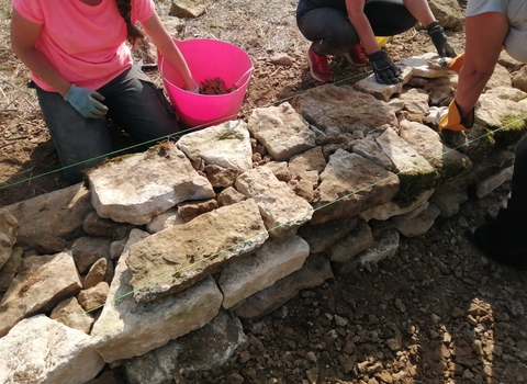 Dry Stone Walling