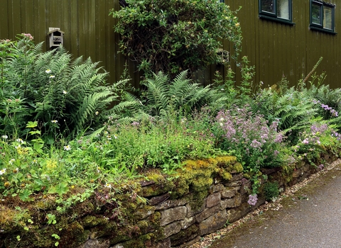 Gardening Volunteers