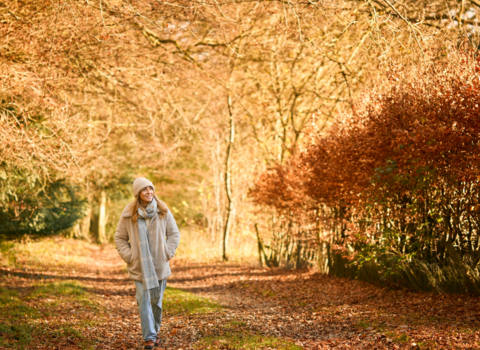 Women walking through Autumn Woodland