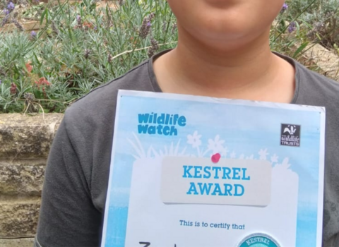 Child holding Kestrel Award certificate 