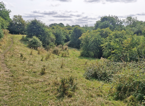 Wymeswold Meadows