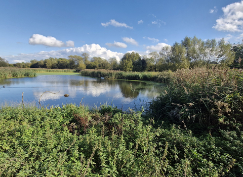 Kelham Bridge Nature Reserve