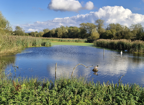 Kelham Bridge Nature Reserve